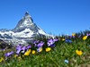 Švýcarsko-poznávací zájezd-Švýcarské velehory vlakem-Matterhorn-fotka od narya-pixabay